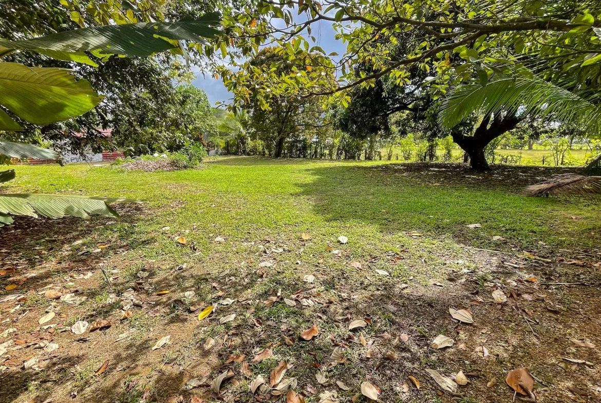 BUILDING PROPERTY A STEPS OF THE BEACH, IN BAHIA BALLENA – 0.30 ACRES, photo 14