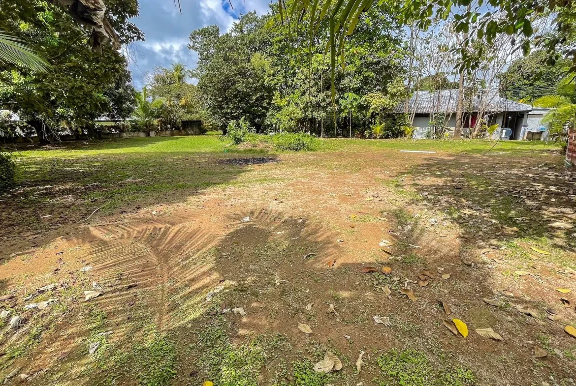 BUILDING PROPERTY A STEPS OF THE BEACH, IN BAHIA BALLENA – 0.30 ACRES, photo 10
