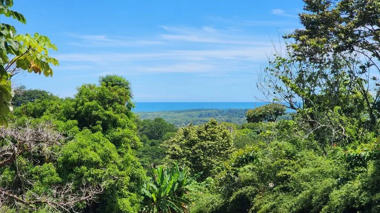 1.25 ACRES – Stunning Ocean View Oasis: Exclusive Property With Premium Amenities!!!!, photo 2