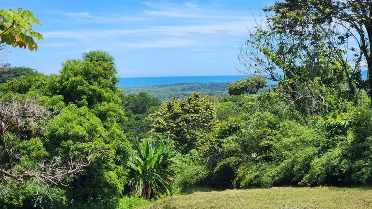 1.25 ACRES – Stunning Ocean View Oasis: Exclusive Property With Premium Amenities!!!!, photo 3