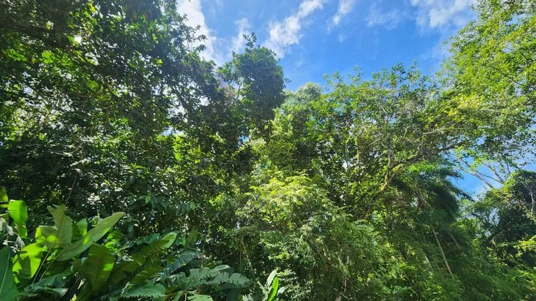 1.25 ACRES – Stunning Ocean View Oasis: Exclusive Property With Premium Amenities!!!!, photo 4
