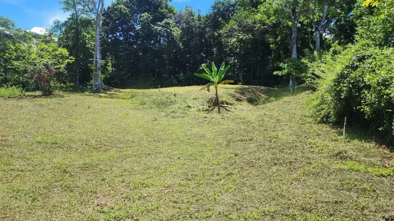 1.25 ACRES – Stunning Ocean View Oasis: Exclusive Property With Premium Amenities!!!!, photo 5