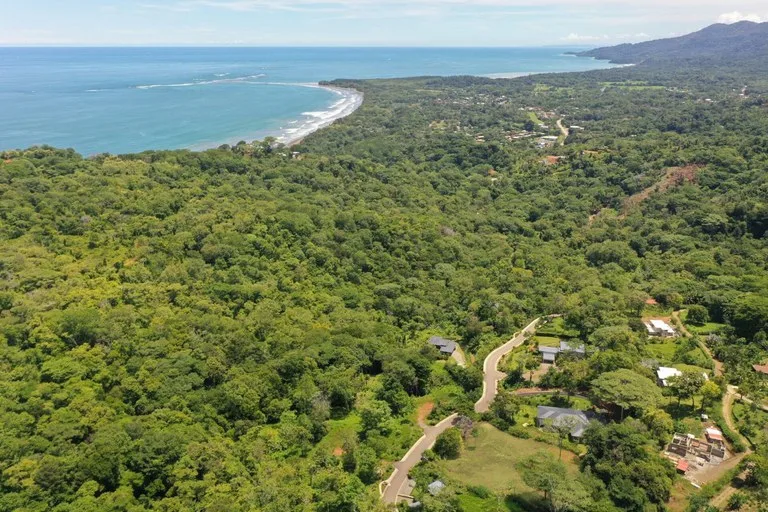 1.25 ACRES – Stunning Ocean View Oasis: Exclusive Property With Premium Amenities!!!!, photo 6