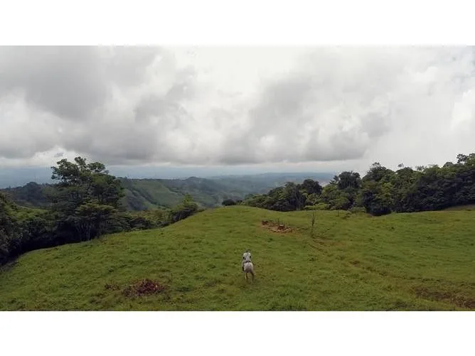 Land for Sale in Perez Zeledon, San Jose for $545,000, photo 3