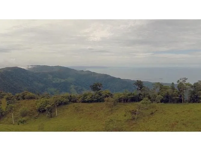 Land for Sale in Perez Zeledon, San Jose for $545,000, photo 5