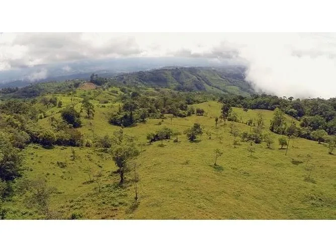 Land for Sale in Perez Zeledon, San Jose for $545,000, photo 7