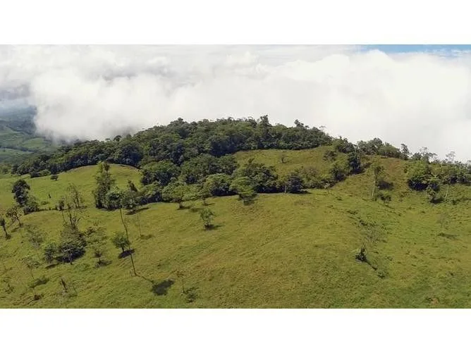 Land for Sale in Perez Zeledon, San Jose for $545,000, photo 8