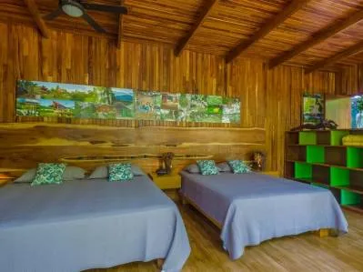 Finca con rio / Permaculture farm paradise, photo 8