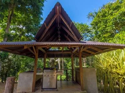 Finca con rio / Permaculture farm paradise, photo 9
