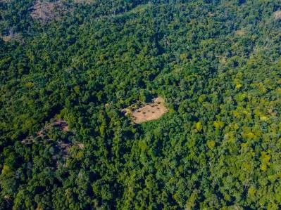 Finca con rio / Permaculture farm paradise, photo 10