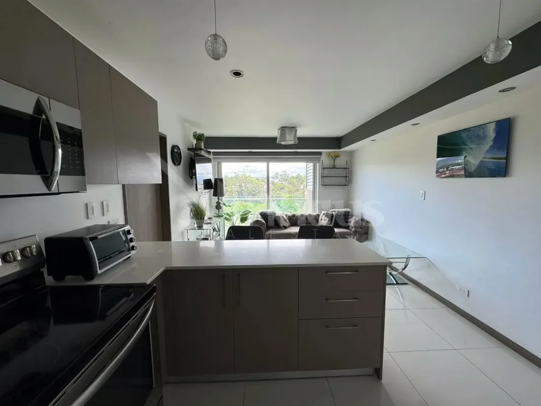 Apartamento de una habitación en venta en Paradisus, Rohrmoser., photo 9