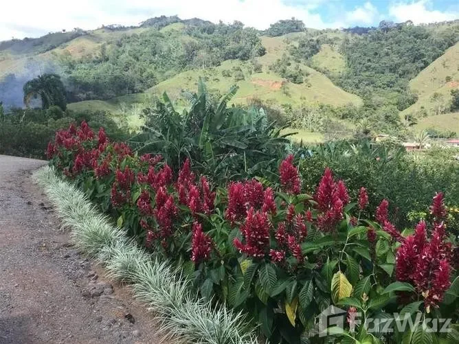 7 Bedroom House for Sale in Perez Zeledon, San Jose for $449,000, photo 8