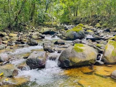 SPACIOUS PROPERTY WITH A RIVER, USABLE LAND, AND MOUNTAIN VIEWS, IN OJOCHAL – 3.11 ACRES, photo 25