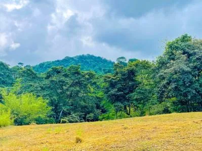 SPACIOUS PROPERTY WITH A RIVER, USABLE LAND, AND MOUNTAIN VIEWS, IN OJOCHAL – 3.11 ACRES, photo 30