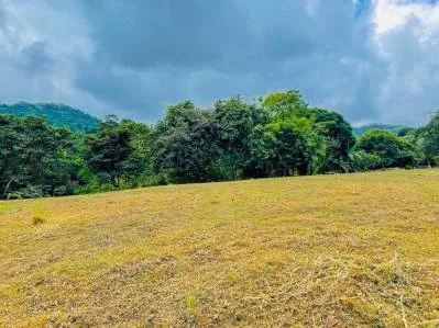 SPACIOUS PROPERTY WITH A RIVER, USABLE LAND, AND MOUNTAIN VIEWS, IN OJOCHAL – 3.11 ACRES, photo 31