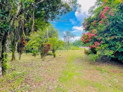 SPACIOUS PROPERTY WITH A RIVER, USABLE LAND, AND MOUNTAIN VIEWS, IN OJOCHAL – 3.11 ACRES, photo 33