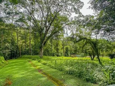 Lote Privado Colindante con la Selva en Ojochal – Listo para Construir, photo 2