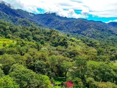Lote Privado Colindante con la Selva en Ojochal – Listo para Construir, photo 3