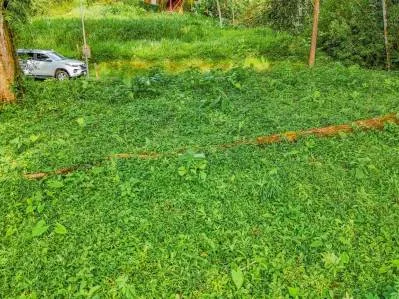 Lote Privado Colindante con la Selva en Ojochal – Listo para Construir, photo 5