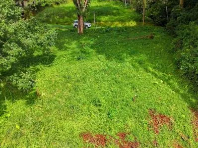 Lote Privado Colindante con la Selva en Ojochal – Listo para Construir, photo 6