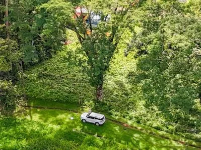 Lote Privado Colindante con la Selva en Ojochal – Listo para Construir, photo 7