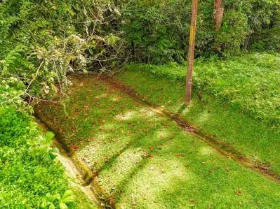 Lote Privado Colindante con la Selva en Ojochal – Listo para Construir, photo 9