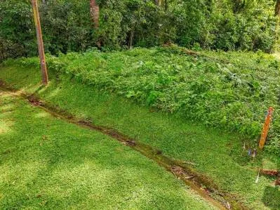 Lote Privado Colindante con la Selva en Ojochal – Listo para Construir, photo 10
