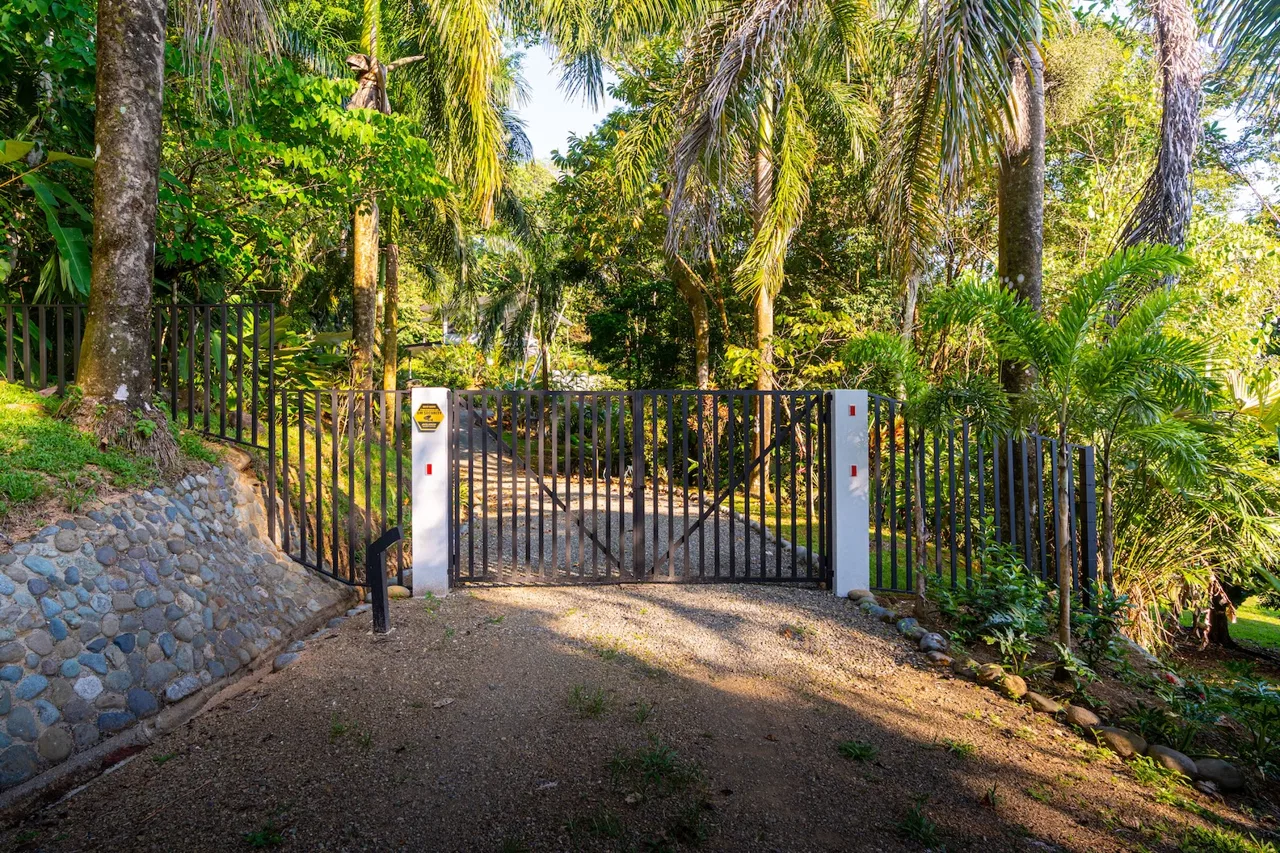 JUNGLE PROPERTY WITH THREE BEDROOMS AND SUNSET VIEWS, IN UVITA – 1.27 ACRES, photo 6