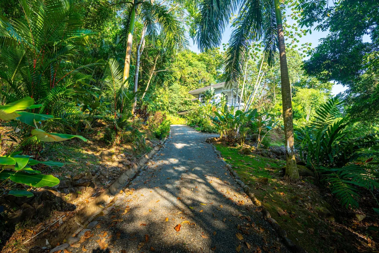 JUNGLE PROPERTY WITH THREE BEDROOMS AND SUNSET VIEWS, IN UVITA – 1.27 ACRES, photo 8