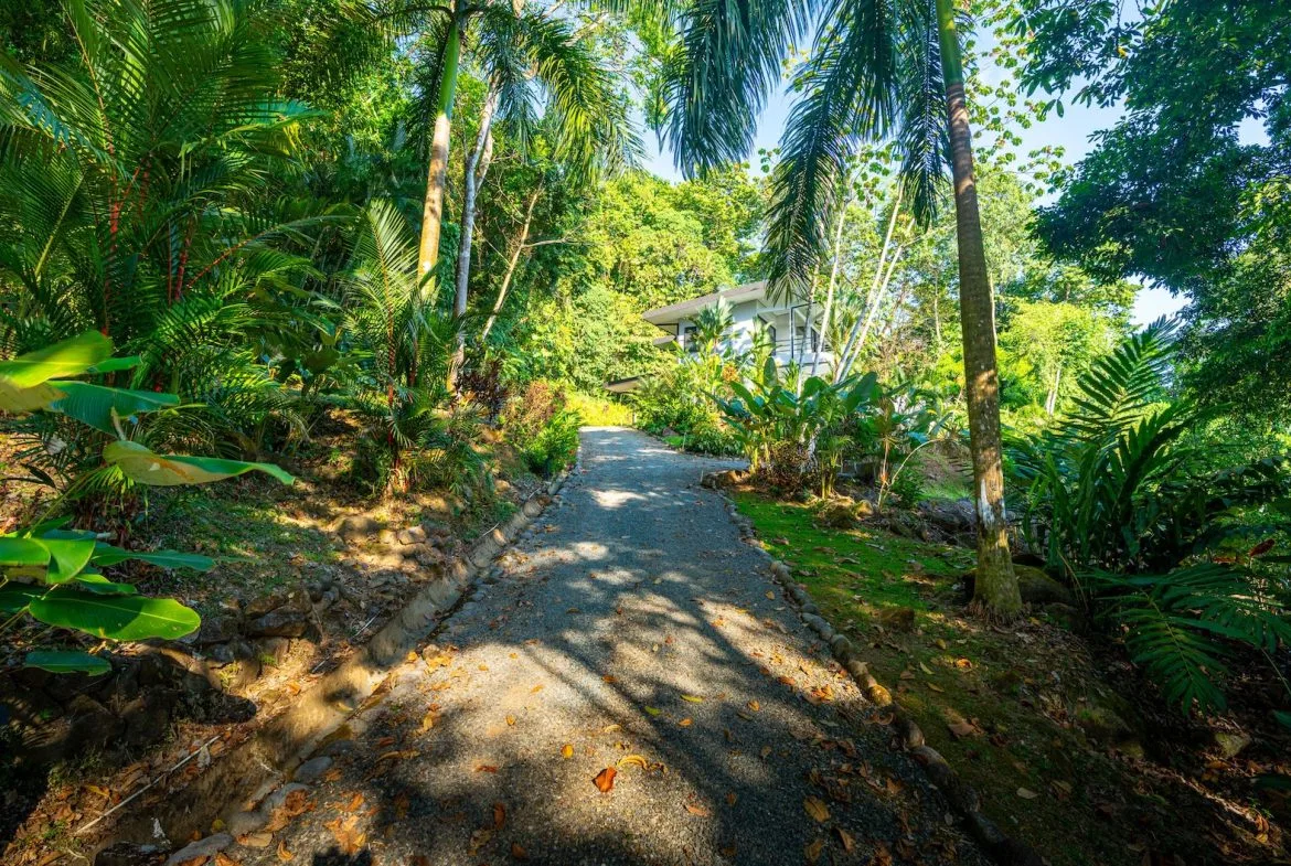JUNGLE PROPERTY WITH THREE BEDROOMS AND SUNSET VIEWS, IN UVITA – 1.27 ACRES, photo 9