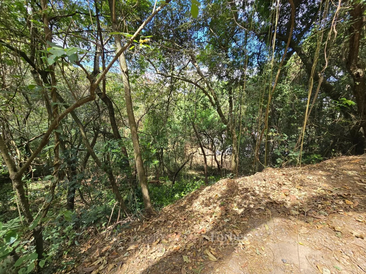 Lot Between the Trees - 2692 m² - Montaña del Sol