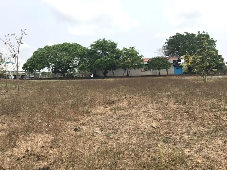 Development Parcel in Liberia