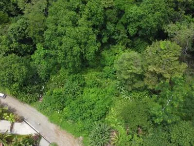 Lote  listo para construir en la jungla, con brisas marinas en el corredor de vida silvestre, photo 2