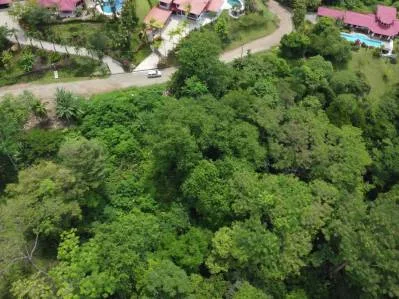 Lote  listo para construir en la jungla, con brisas marinas en el corredor de vida silvestre, photo 3