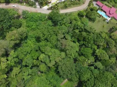 Lote  listo para construir en la jungla, con brisas marinas en el corredor de vida silvestre, photo 5