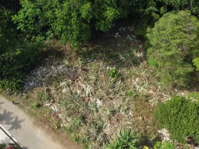 Lote  listo para construir en la jungla, con brisas marinas en el corredor de vida silvestre, photo 9