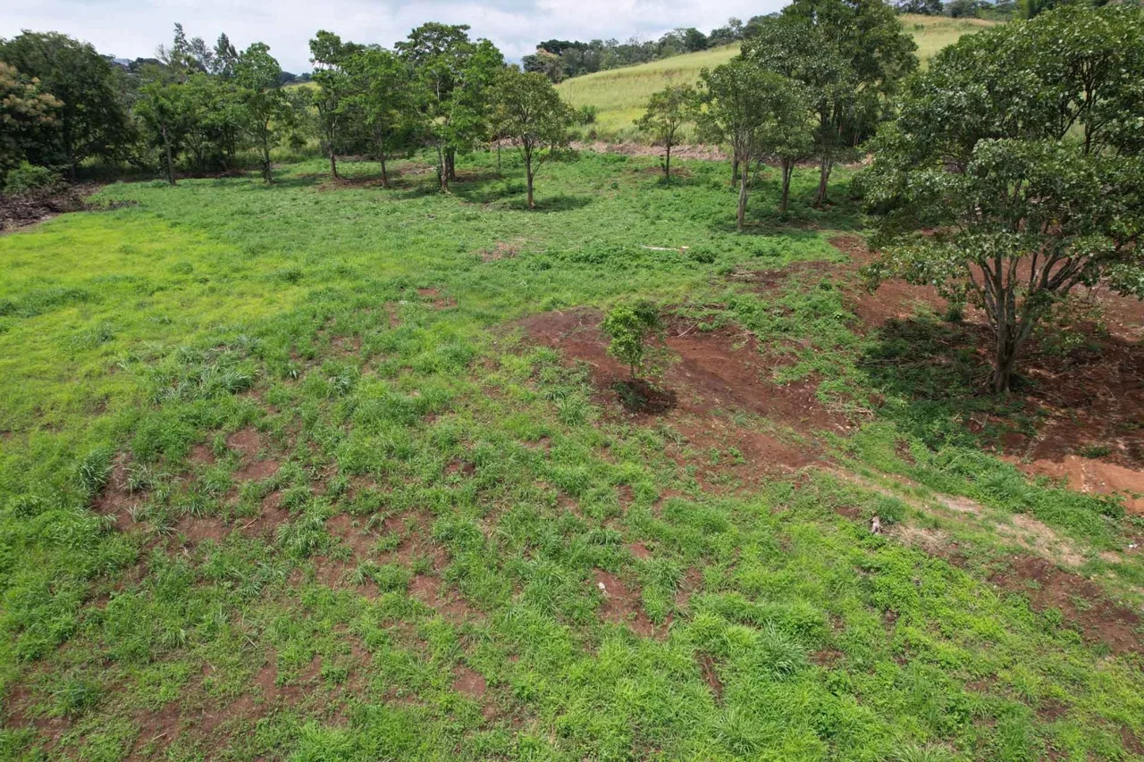 Propiedad de Inversión en Venta en La Argentina de Grecia, Alajuela - Venta en Grecia
