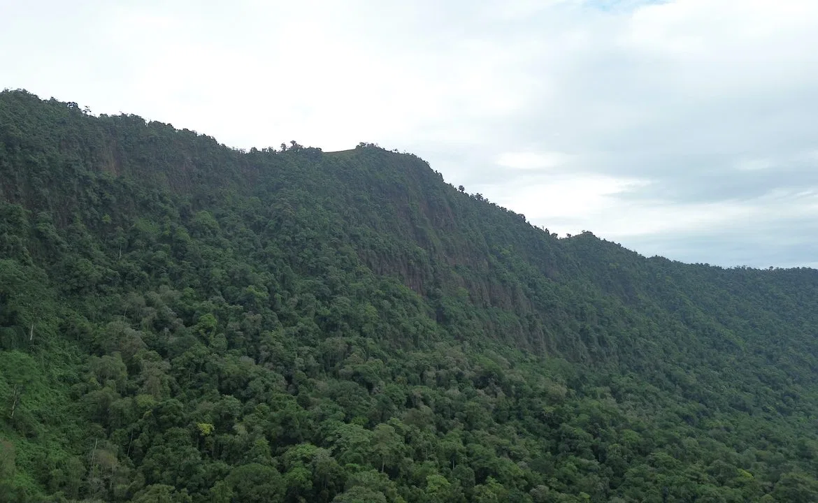 OCEAN AND MOUNTAIN VIEW PROPERTY  – 284 ACRES, photo 14