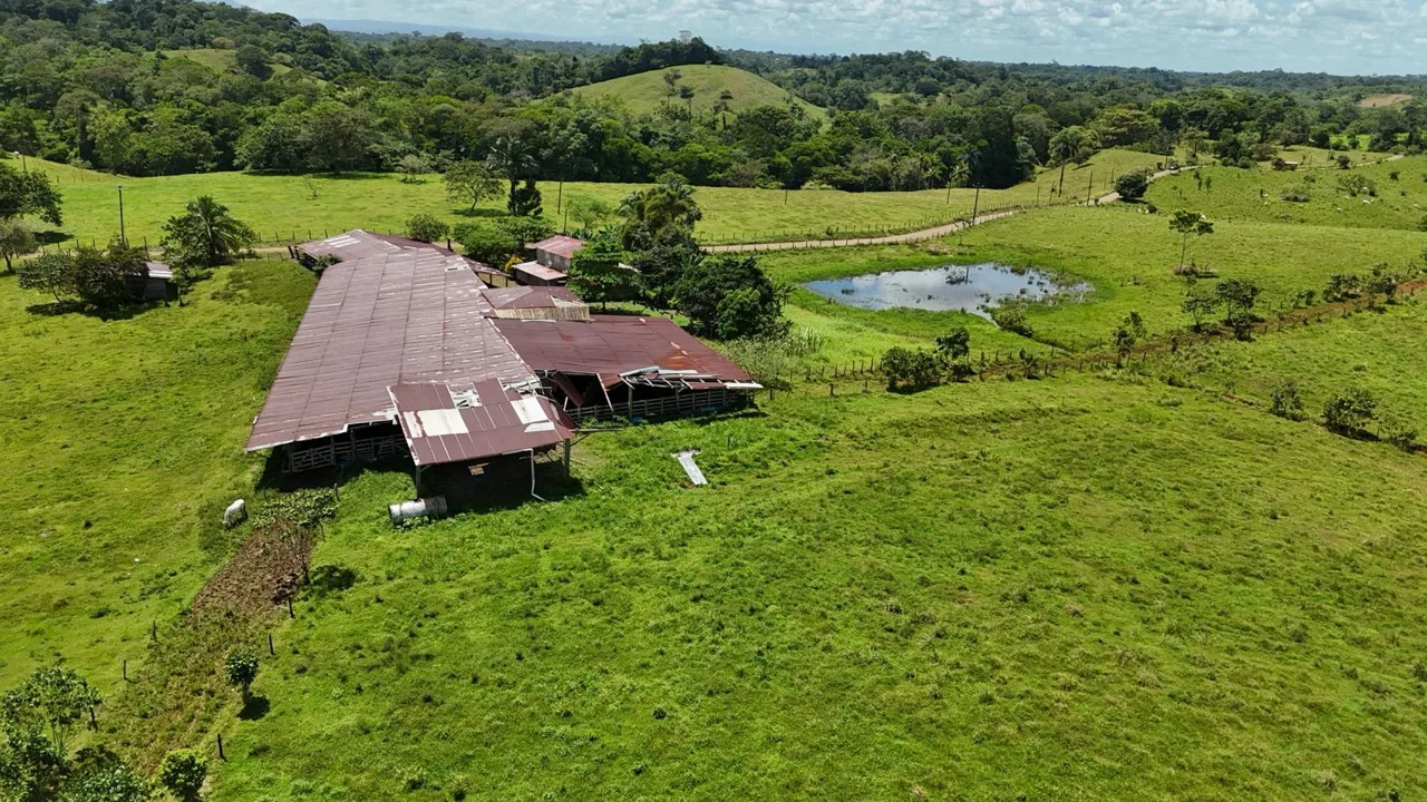 Se vende finca de 93 Ha en San Carlos, Aguas Zarcas