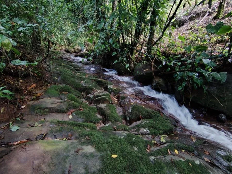 LOTE EN RIVAS, COSTA RICA CON QUEBRADA Y VISTAS. - Venta en Perez Zeledón, photo 6
