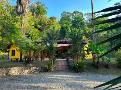 Excepcional Finca Botánica con Gran Potencial, photo 2