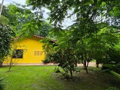 Excepcional Finca Botánica con Gran Potencial, photo 8