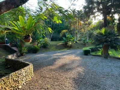 Excepcional Finca Botánica con Gran Potencial, photo 10