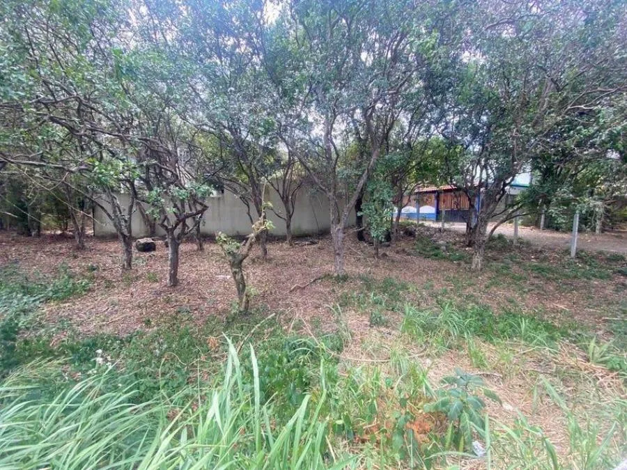 MLS-24-1234 LS VENTA LOTE ESCAZU CENTRO  - Venta en Escazú centro, photo 3