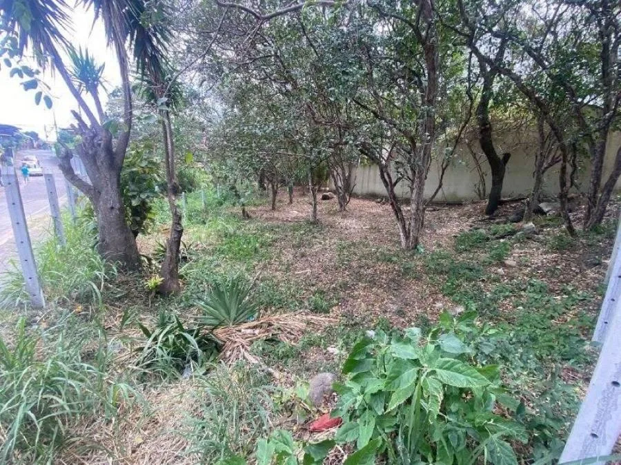 MLS-24-1234 LS VENTA LOTE ESCAZU CENTRO  - Venta en Escazú centro, photo 5