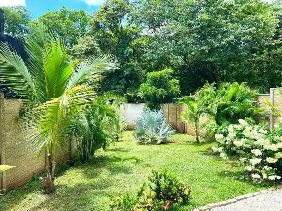 3-Bedroom Home for Rent in Matapalo – Close to the Beach, photo 6