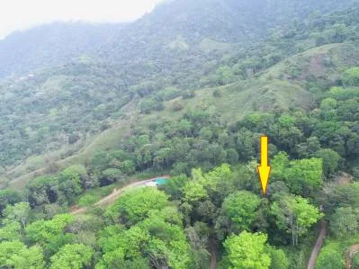 Propiedad en la Jungla en Cinco Ventanas con Agua Legal y Gran Terreno, photo 2