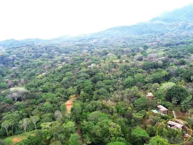 Propiedad en la Jungla en Cinco Ventanas con Agua Legal y Gran Terreno, photo 3