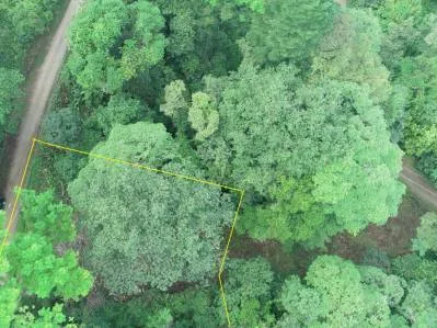 Propiedad en la Jungla en Cinco Ventanas con Agua Legal y Gran Terreno, photo 4