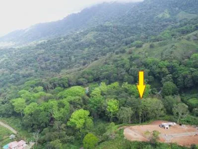 Propiedad en la Jungla en Cinco Ventanas con Agua Legal y Gran Terreno, photo 9